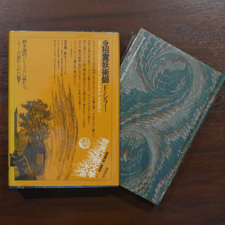 招霊妖術師（世界幻想文学大系第17巻）　F・シラー　石川実訳　国書刊行会