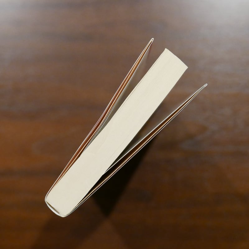 モダン都市東京 日本の一九二〇年代 海野弘 中公文庫 | 書肆 原光