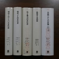 性と暴力の文化史 文明化の過程の神話 3 (叢書・ウニベルシタス) 性
