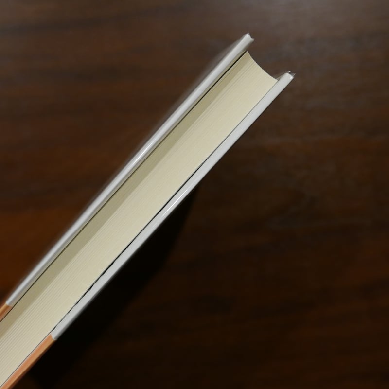 黄金の百合 フィリップ・ソレルス 岩崎力訳 集英社 | 書肆 原光