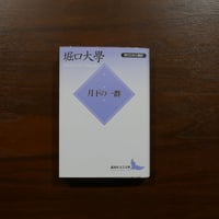 死者の軍隊の将軍 イスマイル・カダレ 井浦伊知郎訳 松籟社 | 書肆 原光
