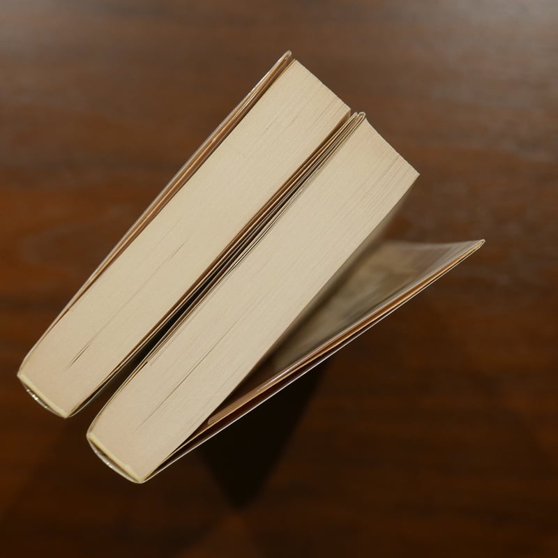 露伴随筆集 岩波文庫版 二巻揃 | 書肆 原光