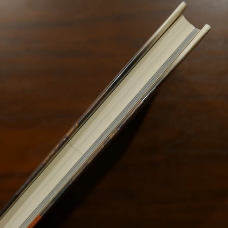 フレスコ画のルネサンス 壁画に読むフィレンツェの美　宮下孝晴　NHK出版