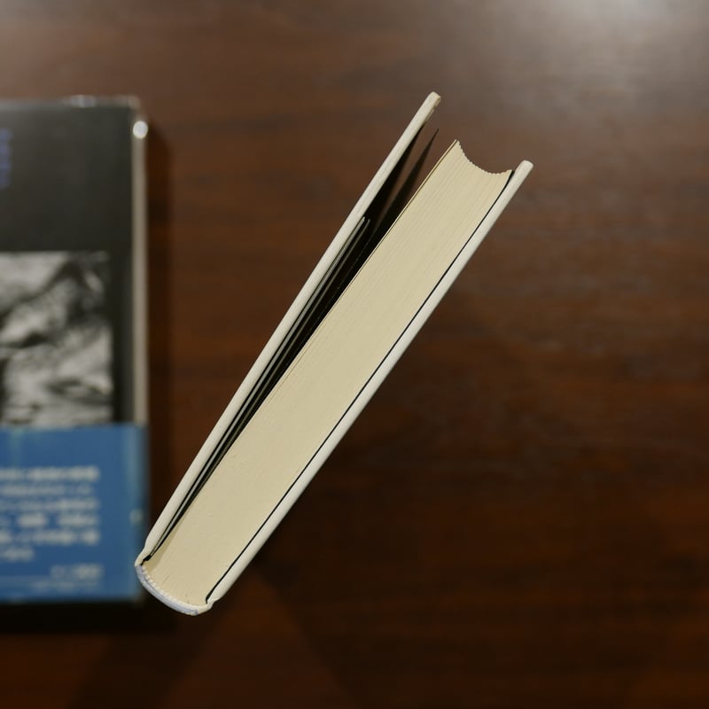 アニセ またはパノラマ アラゴン 小島輝正訳 白水社 | 書肆 原光