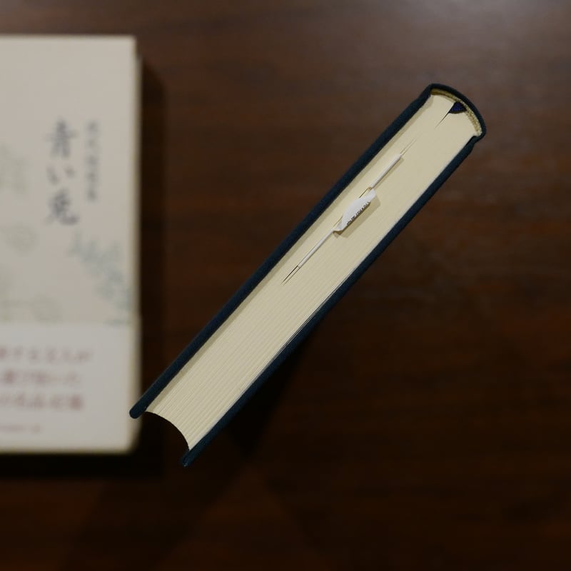 現代随想集 青い兎 杉本秀太郎 岩波書店 | 書肆 原光