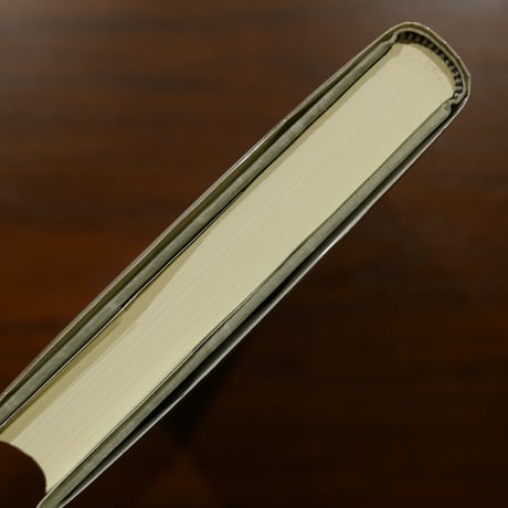 ナチズムの歴史思想　現代政治の理念と実践〈パルマケイア叢書 20〉　フランク＝ロタール・クロル　小野清美・原田一美訳　柏書房