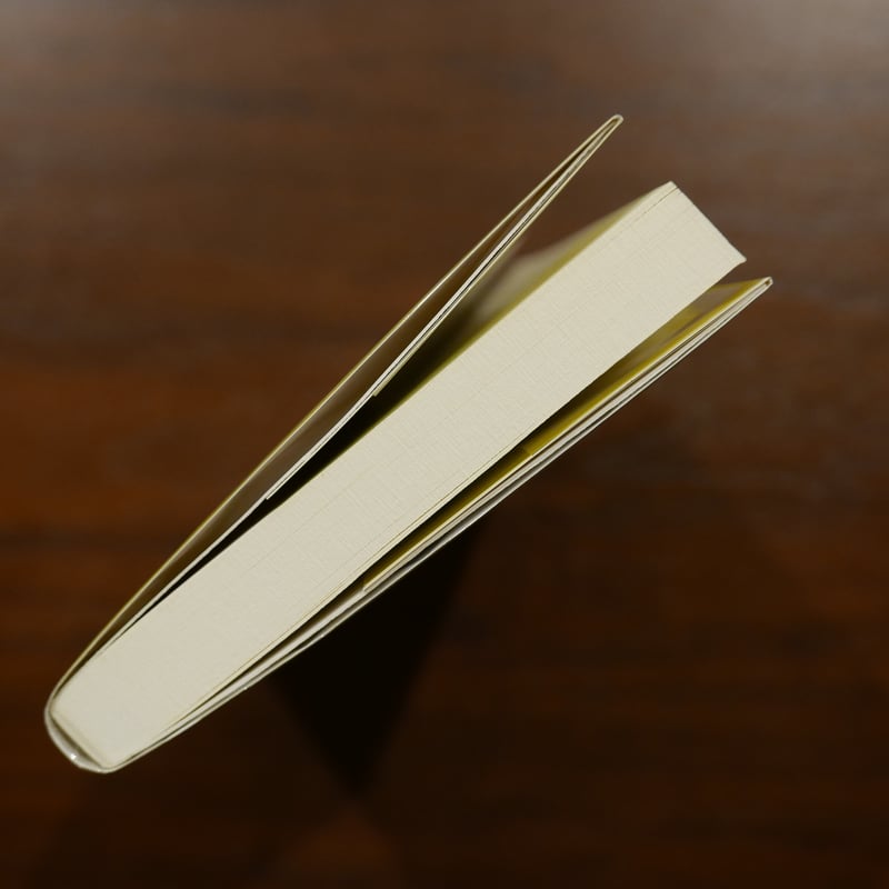 事件！ 哲学とは何か スラヴォイ・ジジェク 鈴木晶訳 河出ブックス