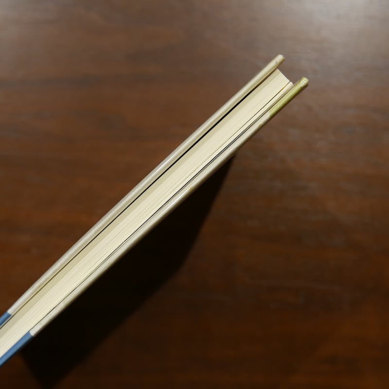 多田智満子詩集 長い川のある國 多田智満子 書肆山田 | 書肆 原光