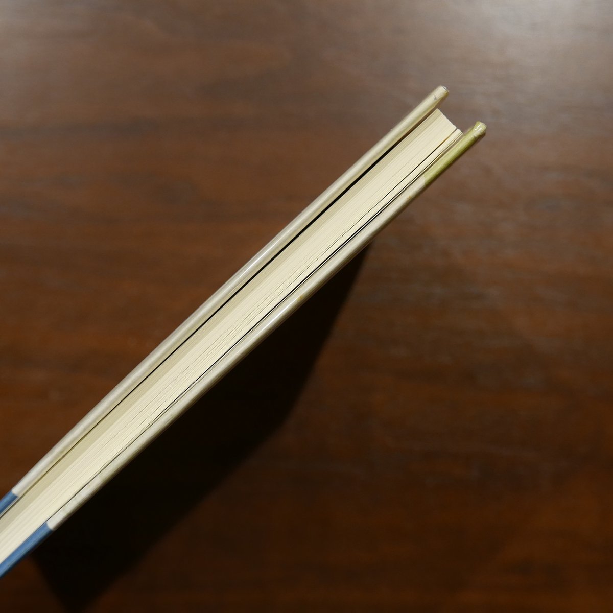 多田智満子詩集 長い川のある國 多田智満子 書肆山田 | 書肆 原光