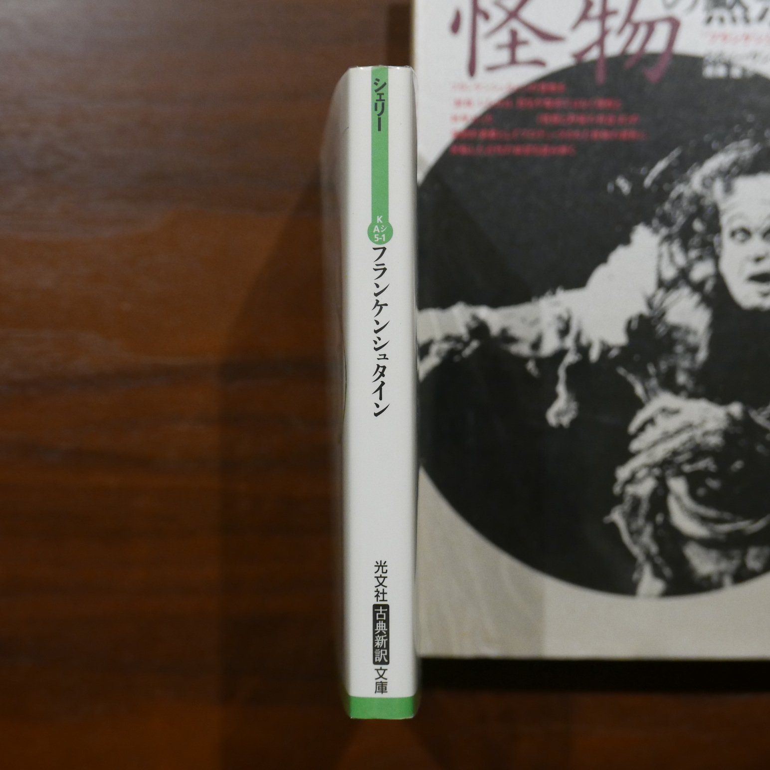 メアリ・シェリーの「フランケンシュタイン」と作品論二冊セット