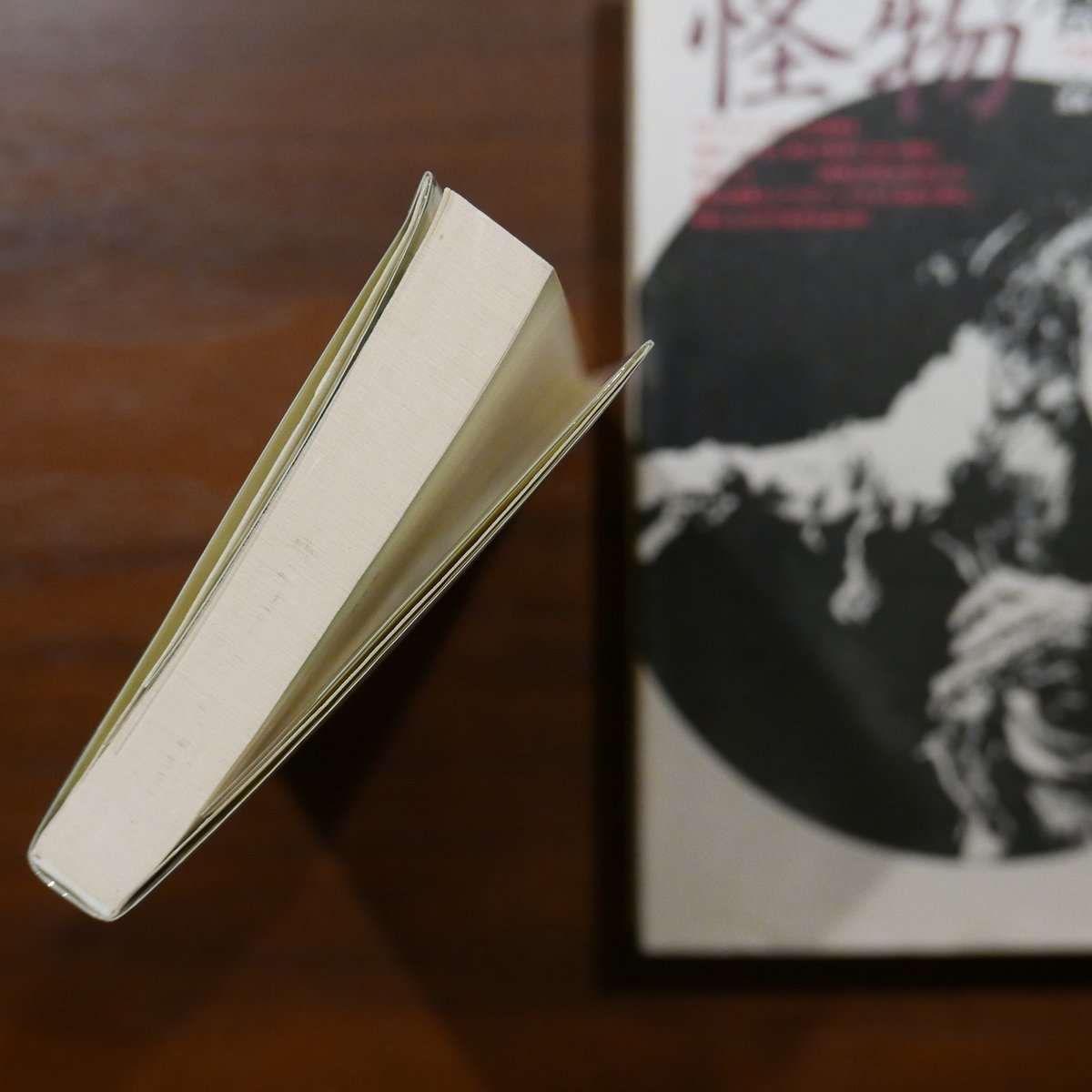 文学・小説 Meari メアリ・シェリーの「フランケンシュタイン」と作品論二冊セット