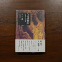 白夜の廻廊　世紀末文学逍遙　川村二郎　岩波書店