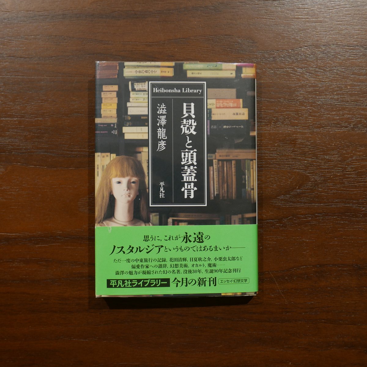 貝殻と頭蓋骨 澁澤龍彦 平凡社ライブラリー | 書肆 原光