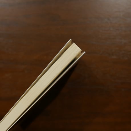 ニーチェ入門　清水真木　ちくま学芸文庫