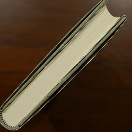 ナチズムの歴史思想　現代政治の理念と実践〈パルマケイア叢書 20〉　フランク＝ロタール・クロル　小野清美・原田一美訳　柏書房