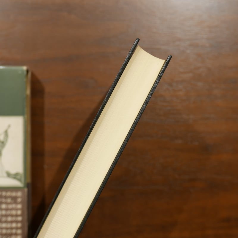 ダンセイニ幻想小説集 荒俣宏訳編 創土社 | 書肆 原光