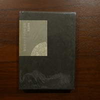 詩話・近代ふらんす秀詩鈔　齋藤磯雄　立風書房