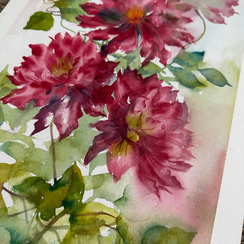 芍薬とクレマチス　水彩画 クレマチス花炎 | tsuruyuna art