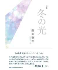 藤岡値衣句集 『冬の光』