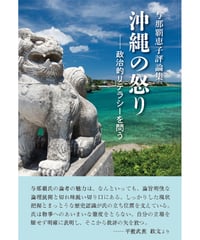 与那覇恵子評論集　『沖縄の怒り―政治的リテラシーを問う』