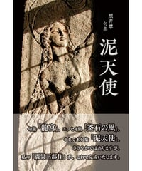 照井翠 句集　『泥天使』