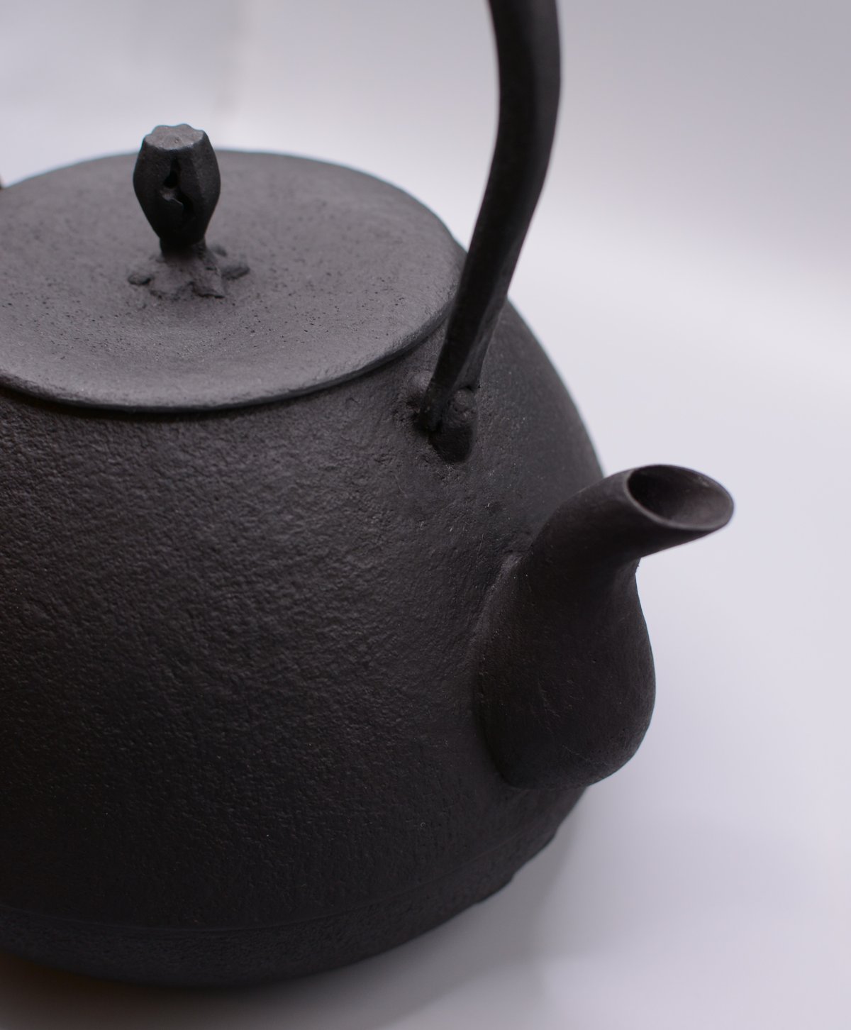 南部鉄器　釜定　鉄瓶（秋の実） 南部鉄器 釜定 鉄瓶 秋の実 | réunir