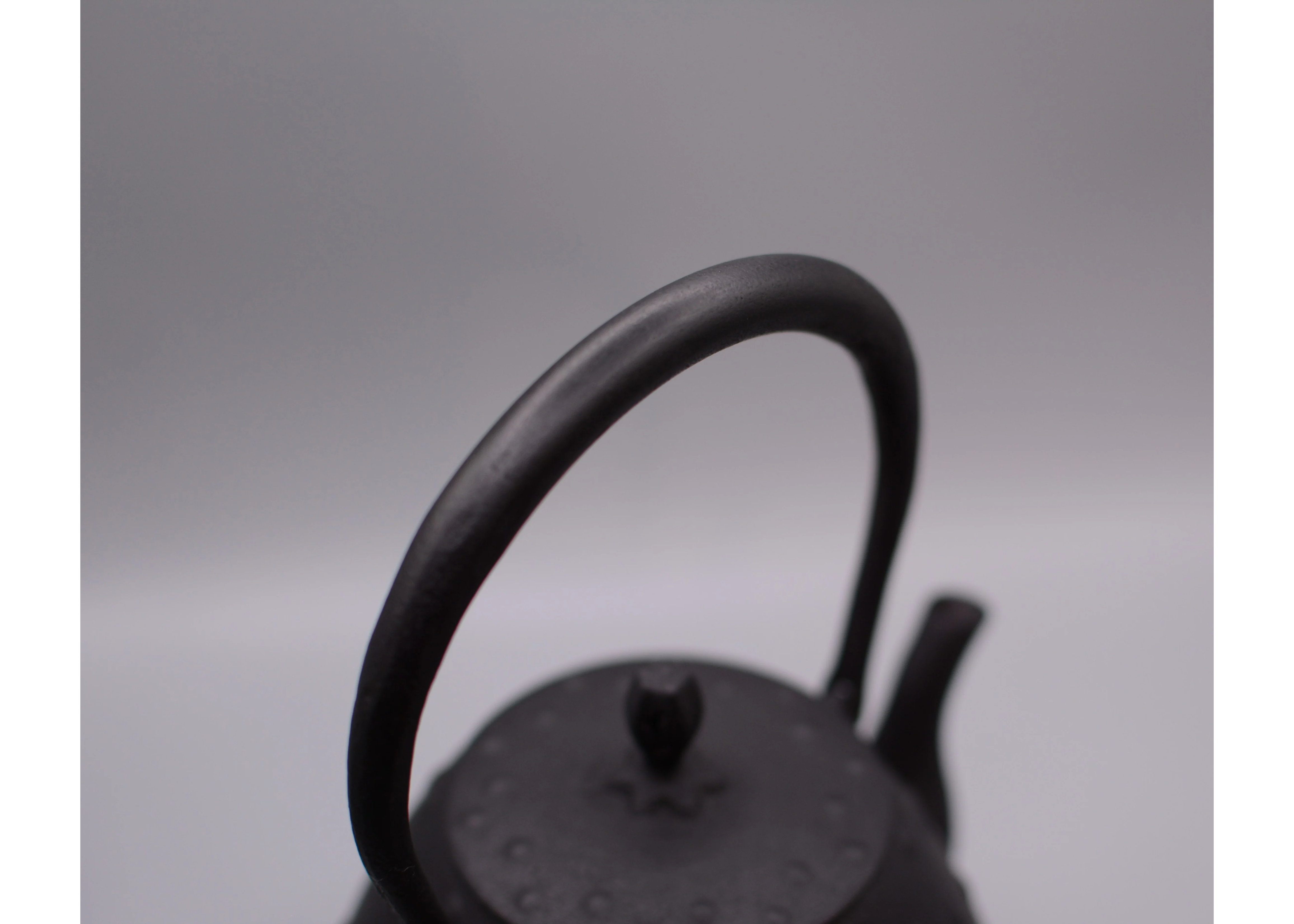 南部鉄器 釜定 鉄瓶 秋の実 大あられ | réunir