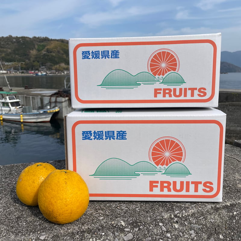 準贈答用】 河内晩柑 5kg箱 | あかまつみかん