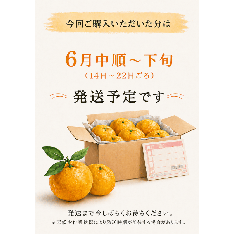 準贈答用】 河内晩柑 5kg箱 | あかまつみかん