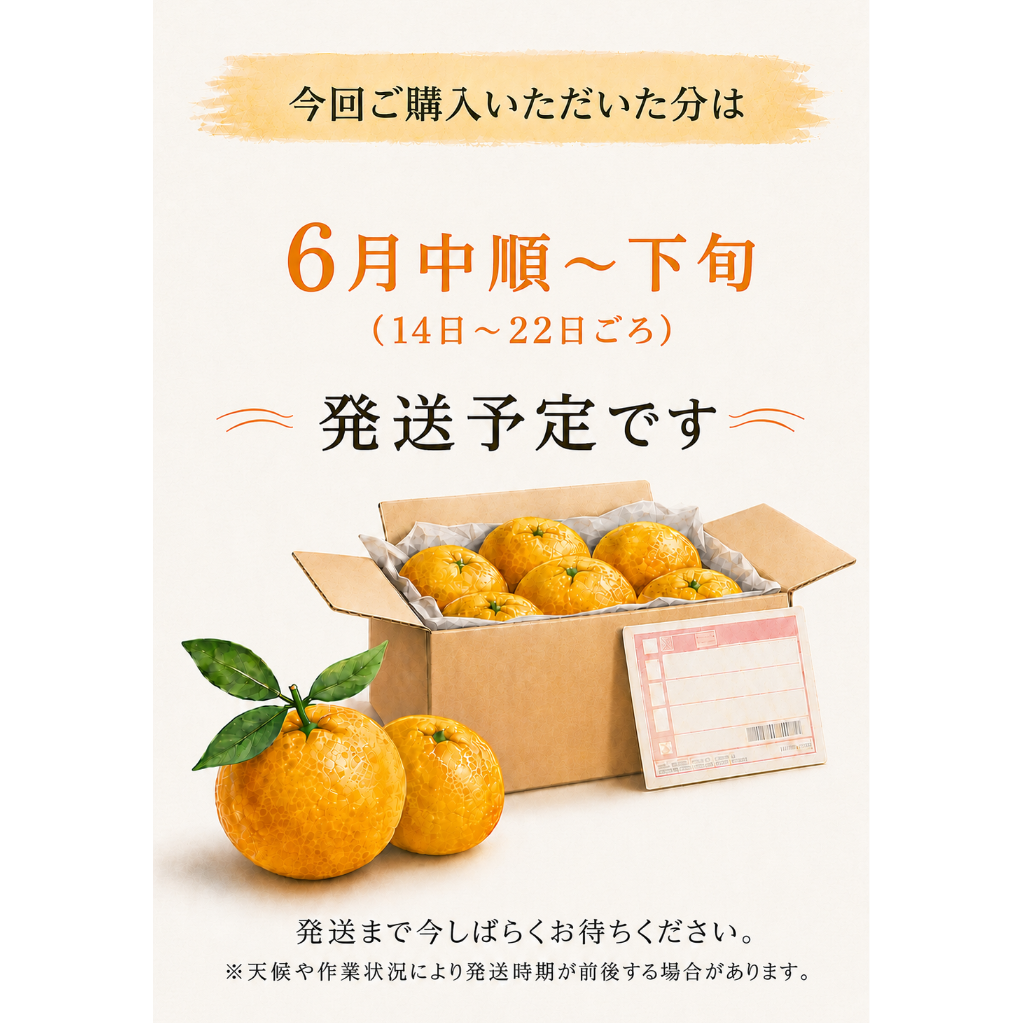 準贈答用】 河内晩柑 5kg箱 | あかまつみかん