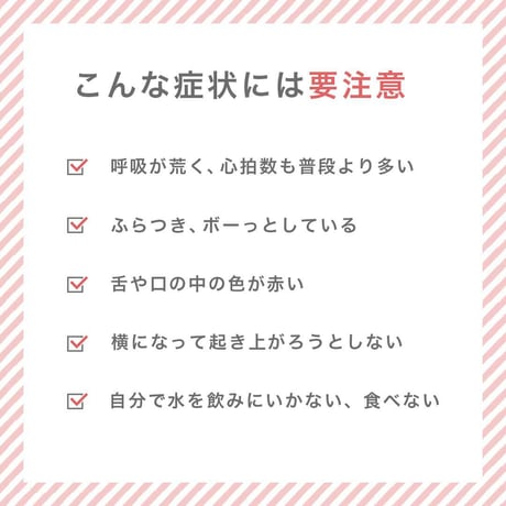 ペット用 ひんやりクールマット Mサイズ（グレー／ブルー）【夏の熱中症対策に】　　　　　　　　　20240508-5622