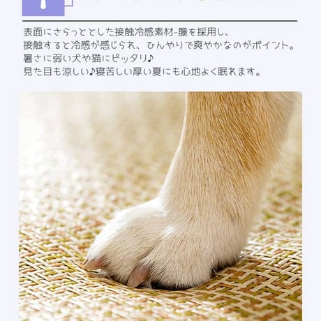【お得なまとめ買い・5点】「夏用ひんやりペットベッド 接触冷感クッション犬猫用」　　　　　　　　　　　　　　　SSSM072025050812
