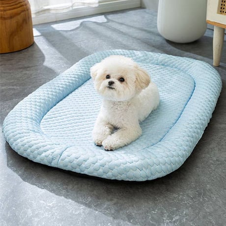 【お得なまとめ買い・6点】夏用 ペットベッド 洗える 犬猫兼用 ひんやりマット 接触冷感 クッション　　　　　　　　　　　　　　　SSSM132025061341