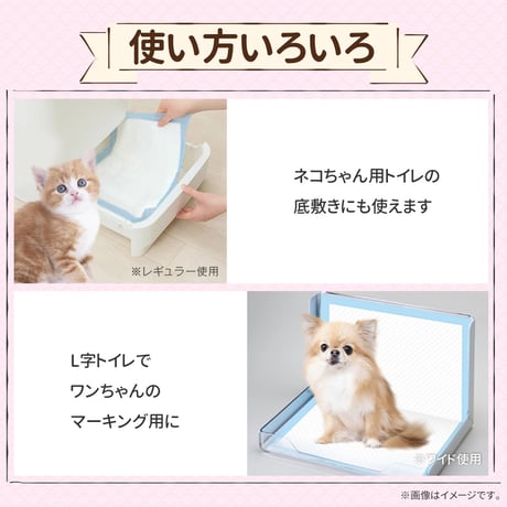 ペットシーツ 薄型 レギュラー ワイド スーパーワイド ペットシート トイレシート 犬 猫 大容量 業務用　　　　　　　　　　　　　　　pet-sheet