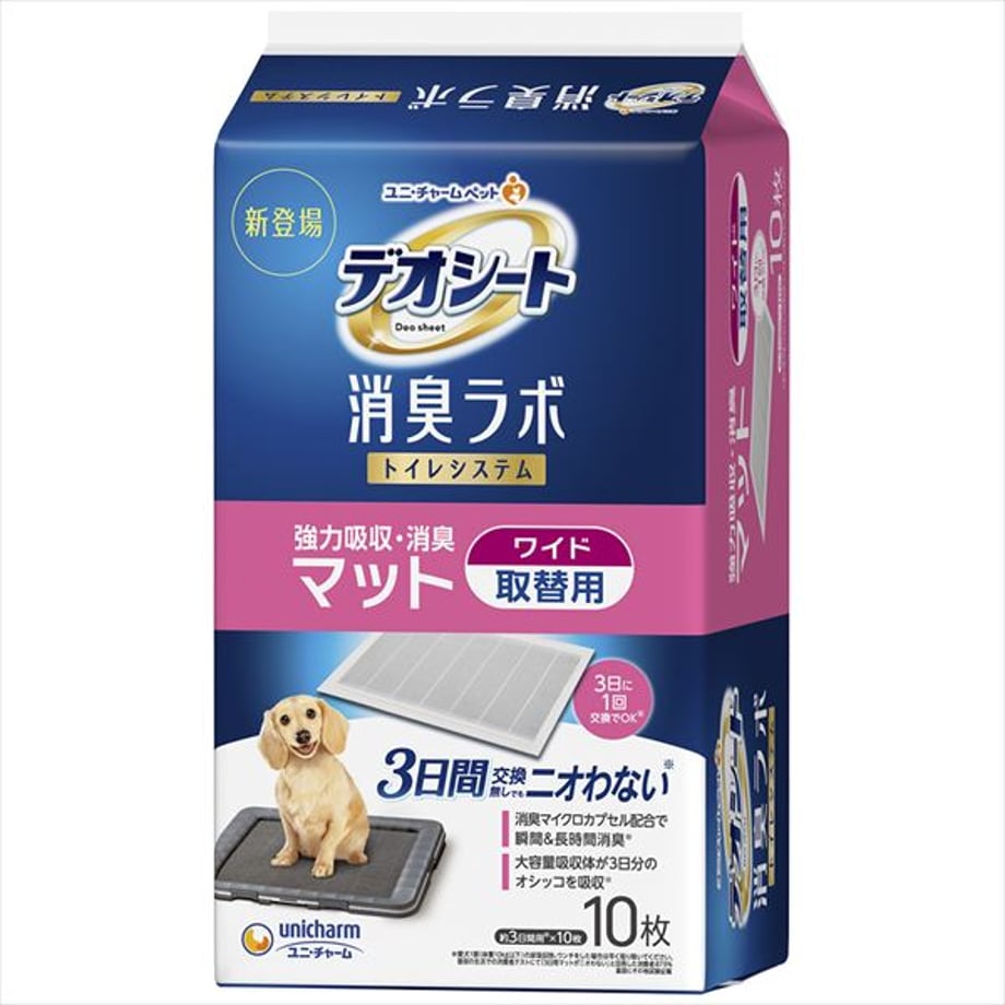 68bfcd01691ebd00017872d7