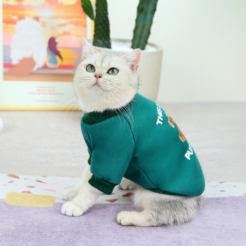 くまちゃん ハンドメイド 犬服 sstrikeニットラグランロンＴ 1着 くまちゃん ハンドメイド 犬服 sstrikeニットラグランロンT 1着 くま