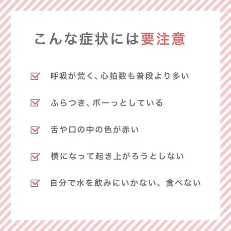 【お得なまとめ買い・10点】ペット用 冷却クールマット 四角 40×40 グレーorブルー クールジェルマット　　　　　　　　　　　　　　　20240603-5618
