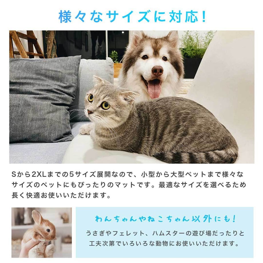 685e134ffdfc8d000107fc97