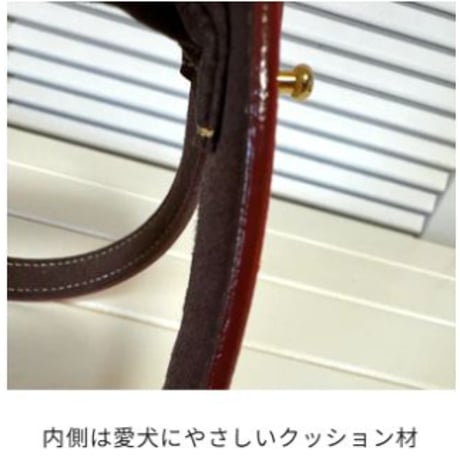 Hevnハーネス（胴輪） 【国産ハーネス】 【ハンドメイド】