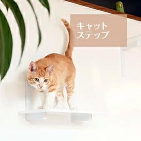 アニマコレ(animacolle) 追加ステップ（白・透明）　※キャットステップ７点セット専用の追加ステップになります