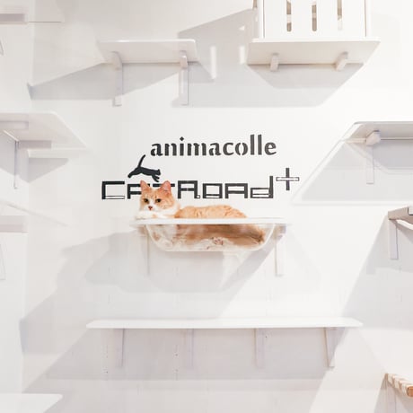 アニマコレ(animacolle) キャットステップ（白）7点セット 【賃貸設置OK】【配置例で簡単配置】
