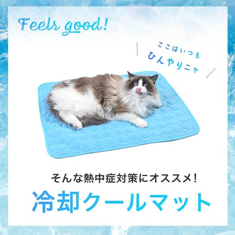 【お得なまとめ買い・5点】ペット用 ひんやりマット 快適 夏生活 Sサイズ 犬猫兼用 グレーorブルー 夏用 接触冷感 クールマット　　　　　　　　　　　　　　　20240508-5620