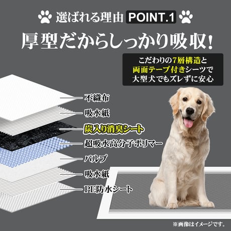 炭入り 超消臭 厚型ペットシーツ 厚型 ペットシーツ ワイド 200枚 スーパーワイド 100枚　　　　　　　　　　　　　　　KO365KO366carbonshee