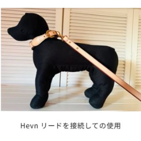 Hevnカラー（首輪）Sサイズ 【国産ハーネス】 【ハンドメイド】