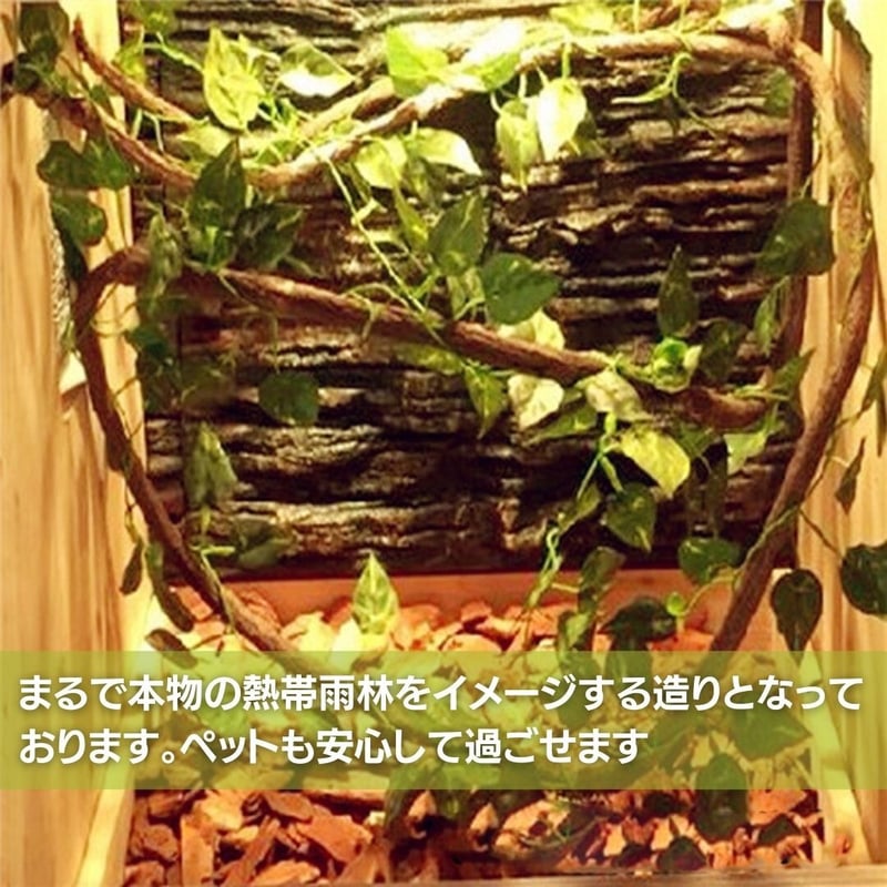 テラリウム 木のツル オーナメント（約1.5m）【爬虫類・観葉植物 