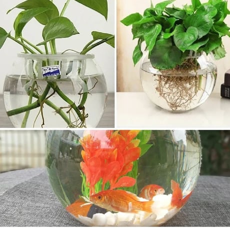 プラスチック製 丸型金魚鉢（最大幅21cm×高さ18cm）【アクアリウム・テラリウム兼用】　　　　　　　20240308-5147