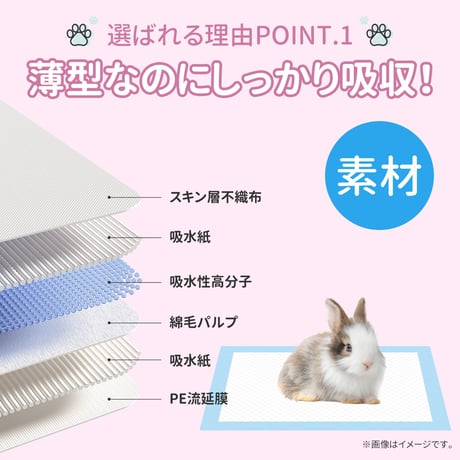 ペットシーツ 薄型 レギュラー ワイド スーパーワイド ペットシート トイレシート 犬 猫 大容量 業務用　　　　　　　　　　　　　　　pet-sheet