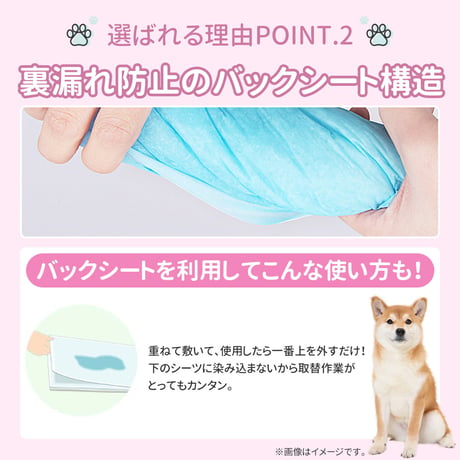 ペットシーツ 薄型 レギュラー ワイド スーパーワイド ペットシート トイレシート 犬 猫 大容量 業務用　　　　　　　　　　　　　　　pet-sheet