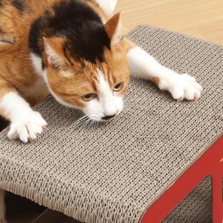 【お得なまとめ買い・2点】猫の爪とぎ ロンドンバス (54226)       68131