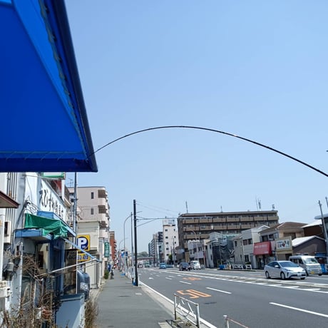 ZieLマゴチ竿300.320